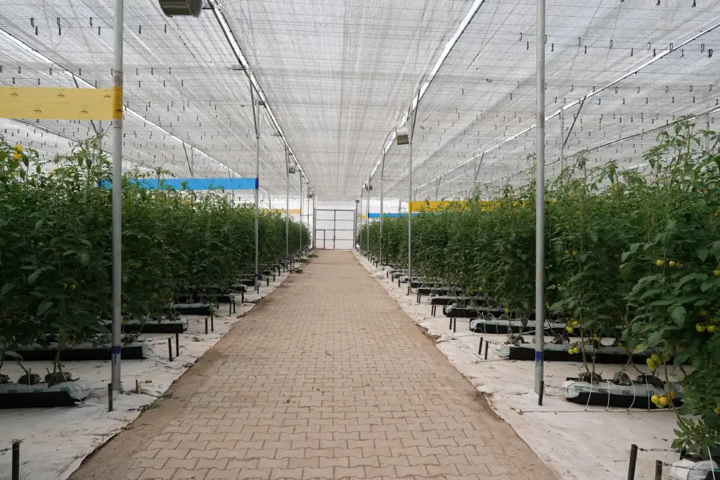 GPU服务器在海南数据中心高性能计算中的部署方案