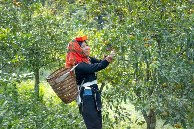 海南如潮机架式服务器参数对比与选型要点分析
