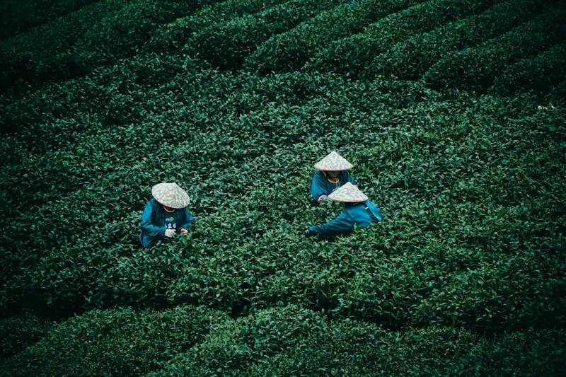 2025年数据中心服务器选型指南:机架式与刀片式架构对比分析